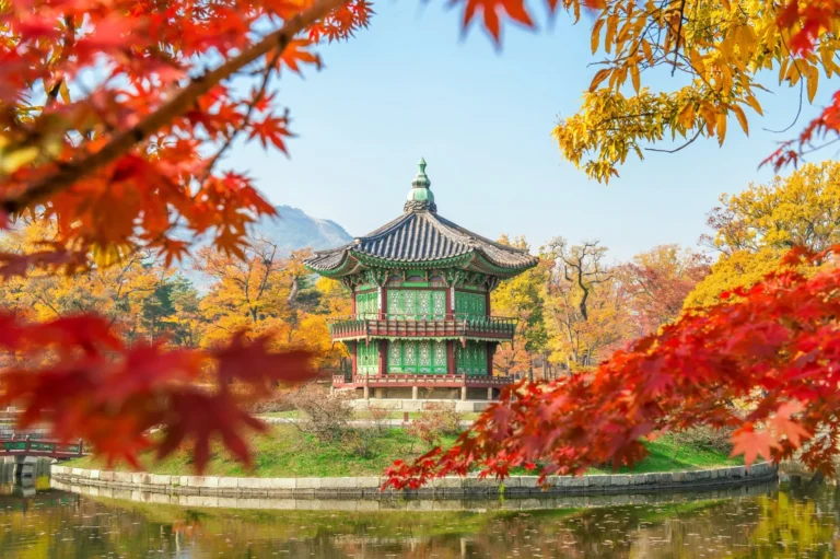 Czy Warto Uczyć Się Koreańskiego? Praca, Studia i Kultura w Korei Południowej