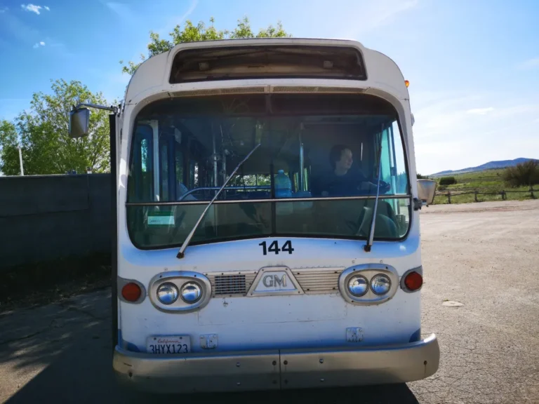 Chcesz zostać kierowcą autobusu? Kompletny przewodnik po kategorii D