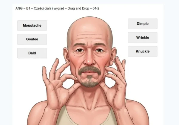 nowoczesna fiszka 3.0 egzamin.pl